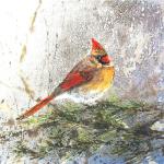 Female Cardinal winter  12" x 12"