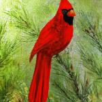 Male Cardinal summer  20" x 10"