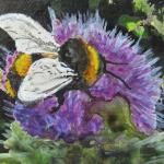 Bumblebee in Thistle