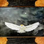 Barn Owl Hunting Under the Stars
with Puzzle Frame
Puzzle Frame is Spalted Maple
Poplar Bark and Magnolia